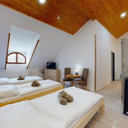 Na Starem Meste Homestay Volary