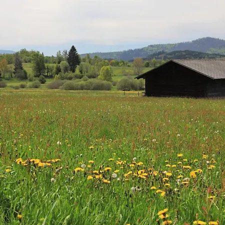 Homestay Na Starem Meste
