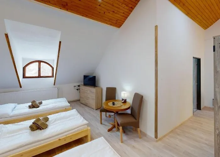 Accommodatie bij particulieren Na Starem Meste Volary