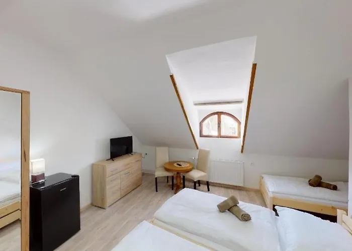 Accommodatie bij particulieren Na Starem Meste Volary